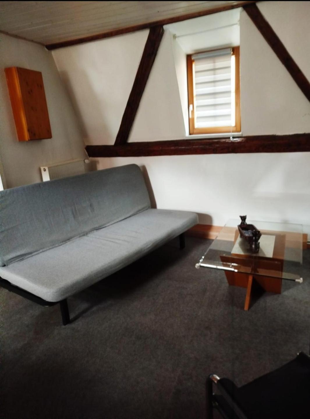 Ferienwohnung Au Chasseur Colmar Exterior foto