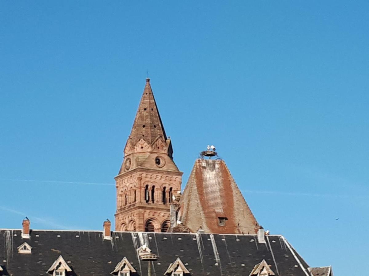 Ferienwohnung Au Chasseur Colmar Exterior foto